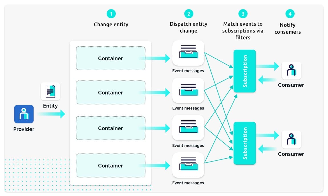 The Data Integration Platform diagram - master data management