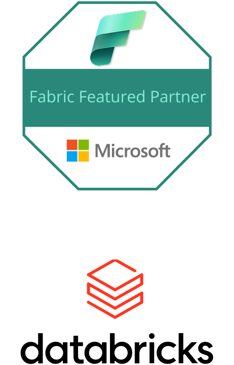 fabrics databricks